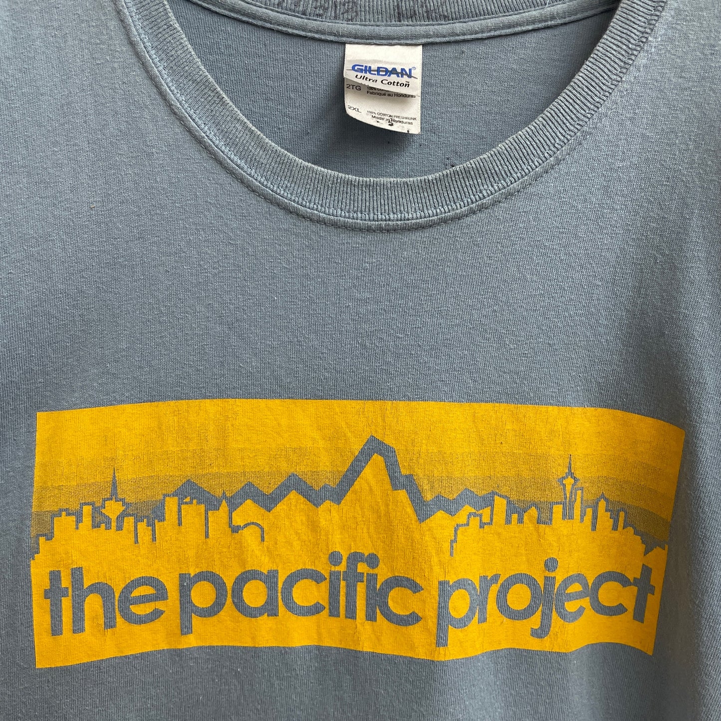 DILDAN the pacific project Tee T-shirt