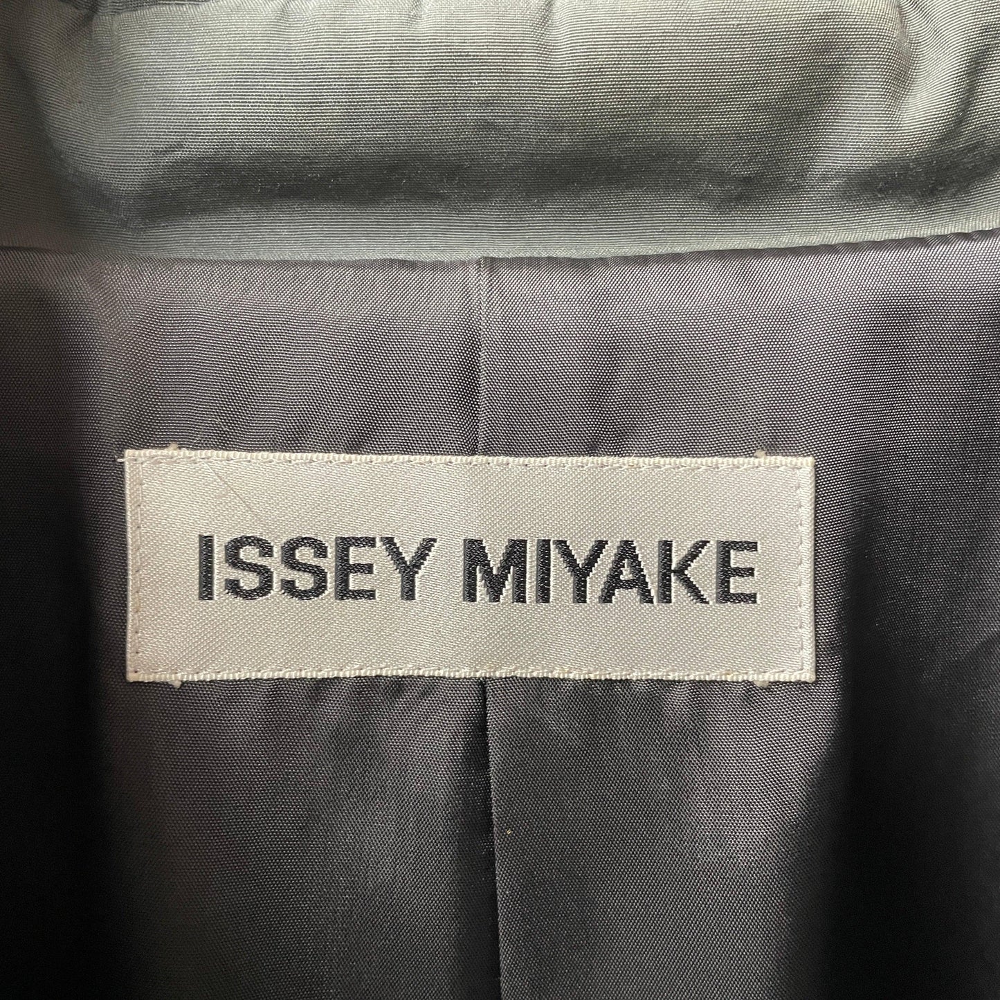 Issey miyake coat